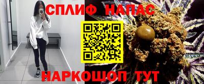 стаф Аргун